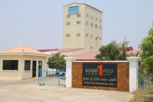 kodo feeds