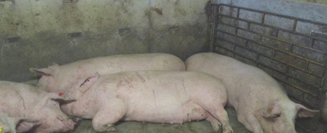 Screen Shot 2015-06-04 at 9.10.36 PM