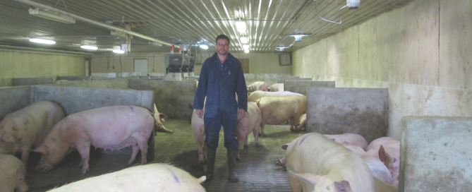 Screen Shot 2015-06-04 at 9.10.45 PM