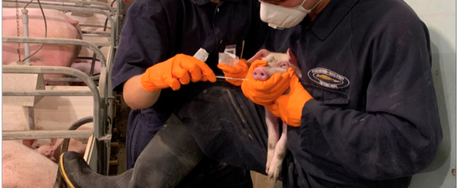 Screen-Shot-2023-10-04-at-09.56.34