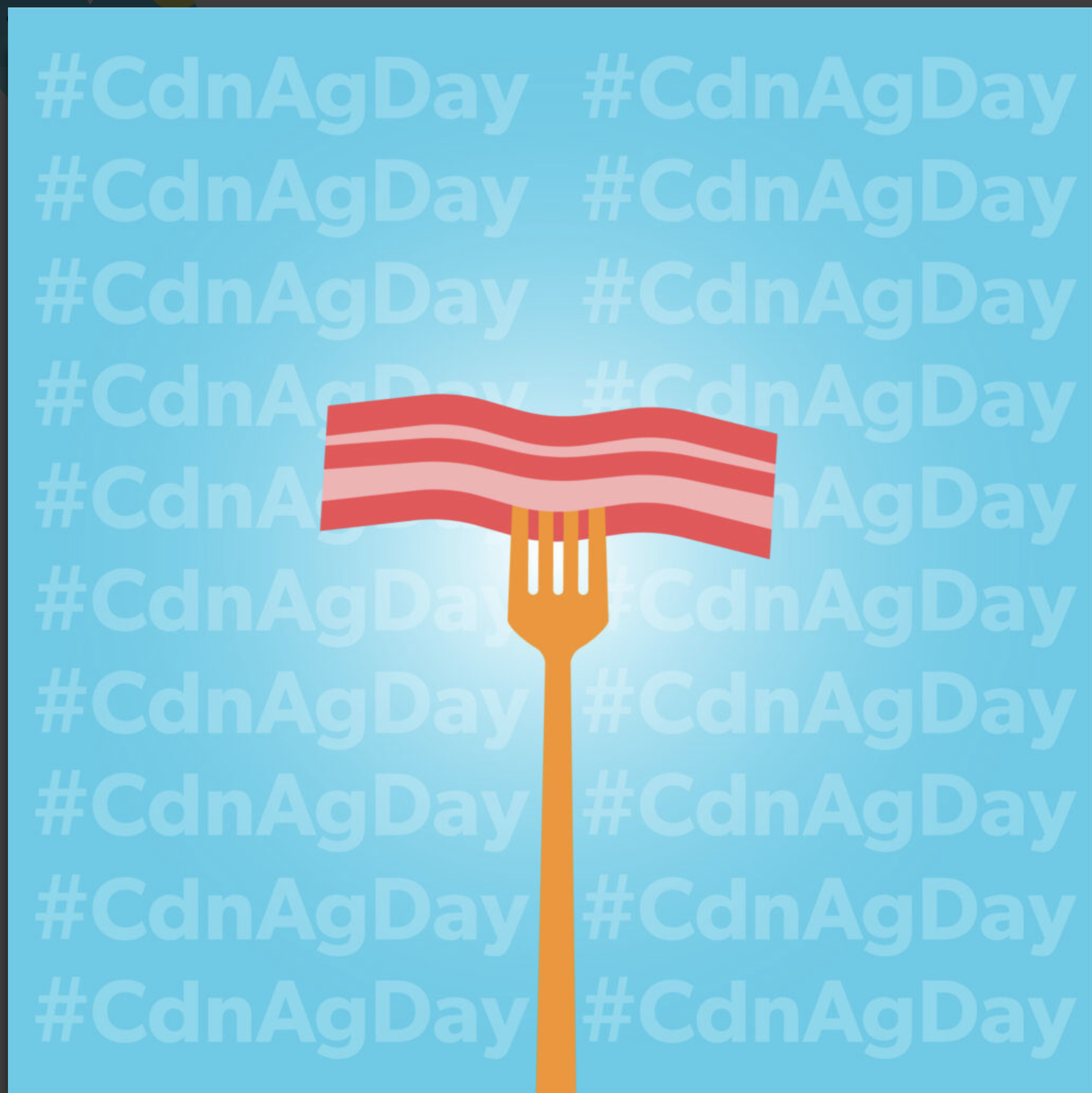 Screen-Shot-2024-01-14-at-11.22.48