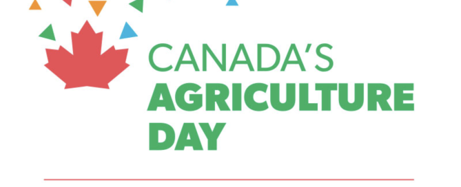 Screen-Shot-2024-01-14-at-11.23.08