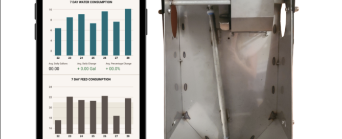 Screen-Shot-2024-01-29-at-14.36.25