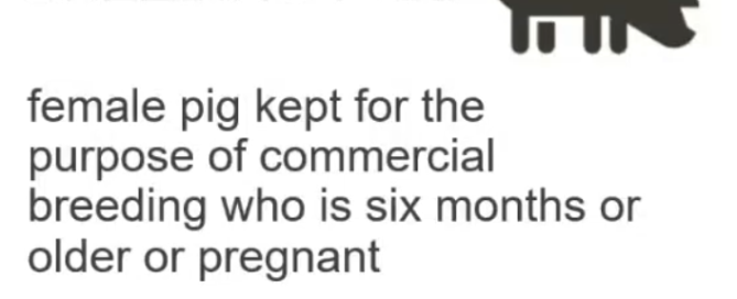 Screen-Shot-2024-01-29-at-15.35.29