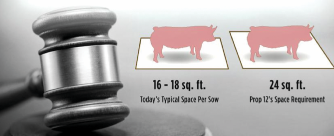 Screen-Shot-2024-02-06-at-11.42.41