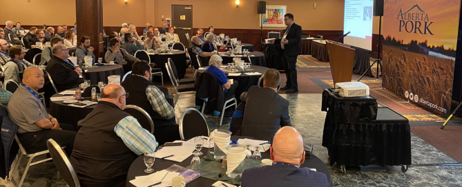 Screen-Shot-2024-03-25-at-16.11.50