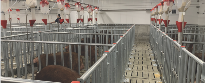 Screen-Shot-2024-03-27-at-16.38.47