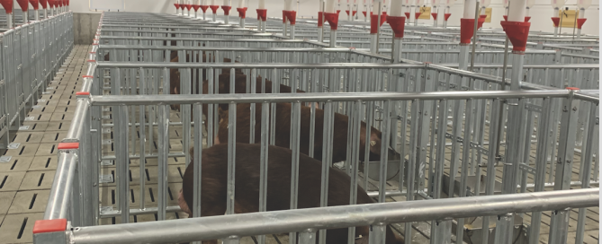 Screen-Shot-2024-03-27-at-16.40.34