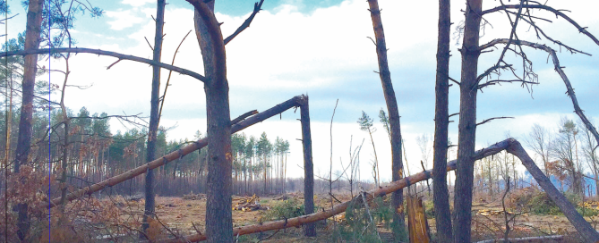 Screen-Shot-2024-03-27-at-17.02.30