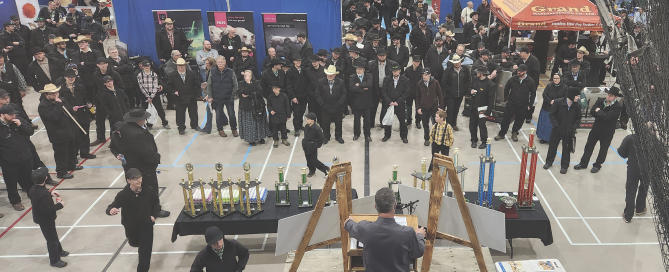 Screen-Shot-2024-03-27-at-17.09.34