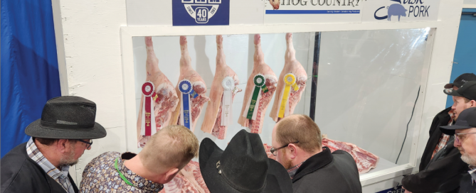 Screen-Shot-2024-03-27-at-17.12.45