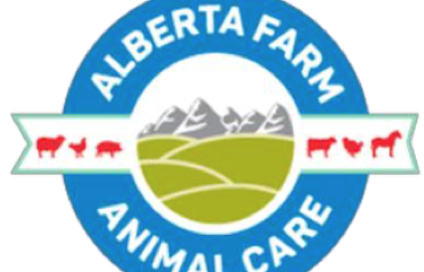 Screen-Shot-2024-03-27-at-17.19.08