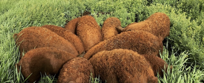 Screen Shot 2025-02-03 at 12.13.59