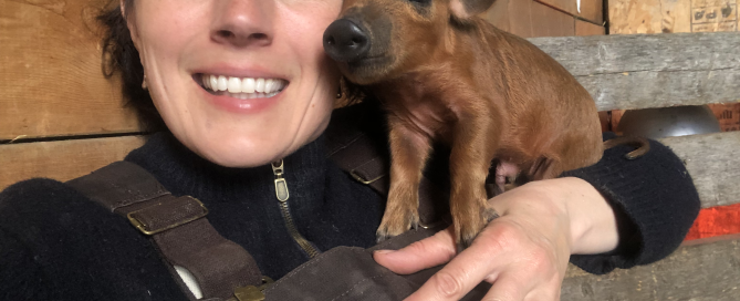 Screen Shot 2025-02-03 at 12.14.40