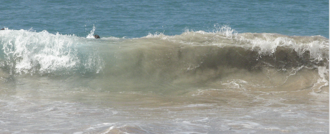 Screen Shot 2025-02-03 at 12.24.29