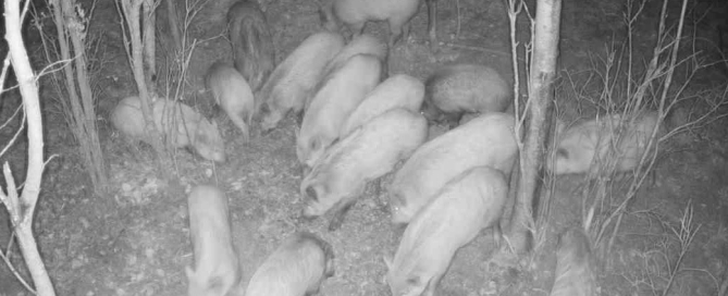 07df44d2-084b-4bd0-b60e-cc6c6cc63340