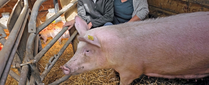 Aron and Aleah de Gier