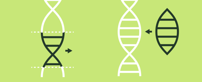 Screen Shot 2025-05-26 at 18.51.51