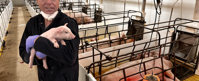 Screen Shot 2025-06-02 at 12.23.22