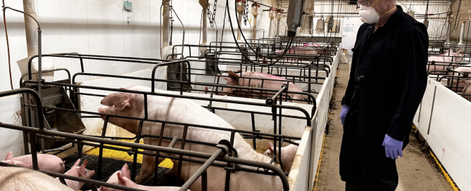 Screen Shot 2025-06-02 at 12.24.06