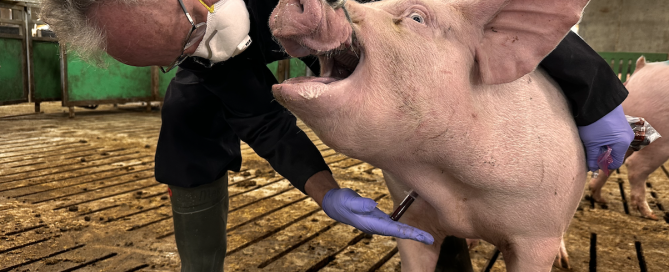 Screen Shot 2025-06-02 at 12.24.42