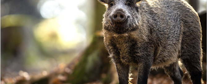 Screen Shot 2025-06-02 at 13.38.34