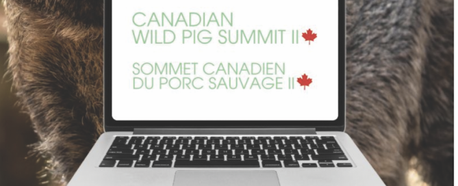 Screen Shot 2025-06-02 at 13.41.27