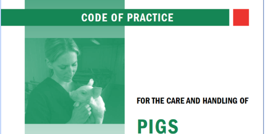 Screen Shot 2025-06-02 at 13.46.48