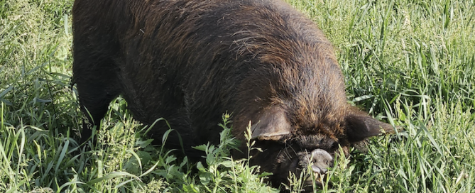 Screen Shot 2025-06-02 at 14.26.37