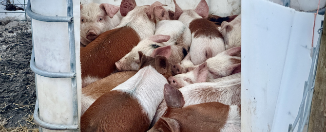 Screen Shot 2025-08-05 at 16.33.24