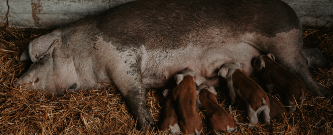 Screen Shot 2025-08-05 at 16.38.25