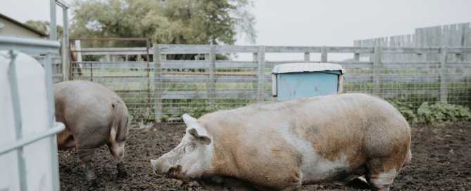 Screen Shot 2025-08-05 at 16.38.41