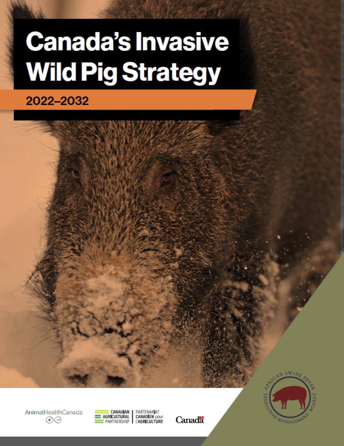 Prairie Hog Country – Canadian Report Maps Wild Pig Threat and