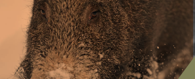 Screen Shot 2025-09-29 at 12.41.34