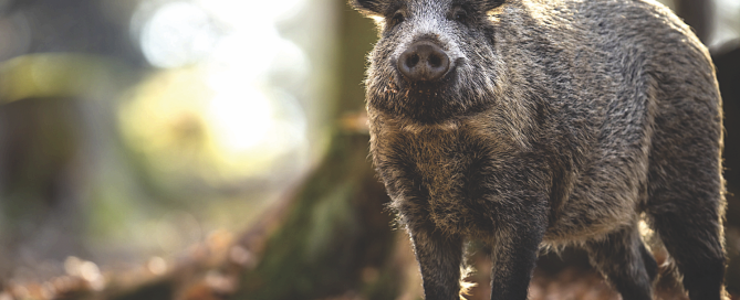 Screen Shot 2025-09-29 at 12.41.57