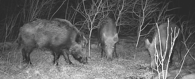 Screen Shot 2025-09-29 at 12.42.18