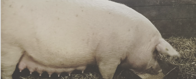 Screen Shot 2025-09-29 at 13.13.52