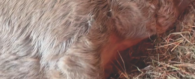 Screen Shot 2026-01-28 at 15.39.06