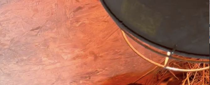 Screen Shot 2026-01-28 at 15.39.21