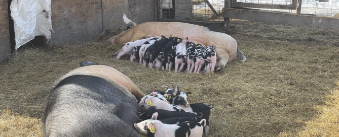 Screen Shot 2026-01-28 at 15.39.53