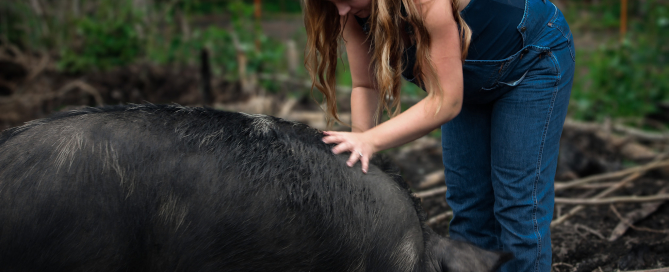 Maternity Photos 2023-12